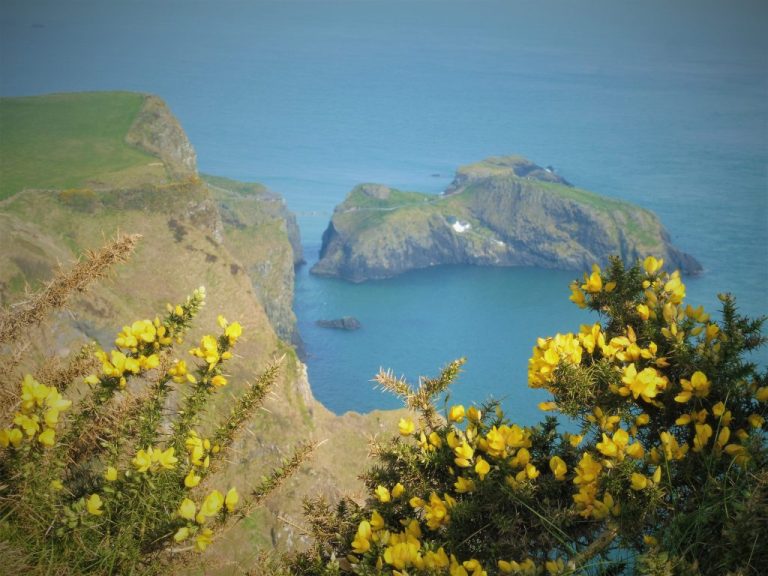 Consejos y preparativos para viajar a Irlanda del Norte