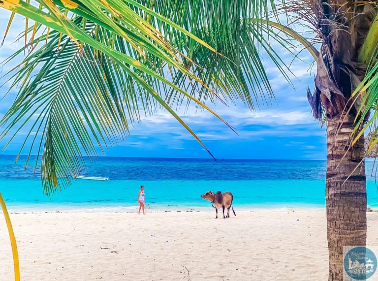 Zanzíbar. Día 4. Nungwi y Tumbatu.