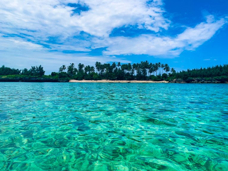 Zanzíbar. Día 7. Kizimkazi por libre.