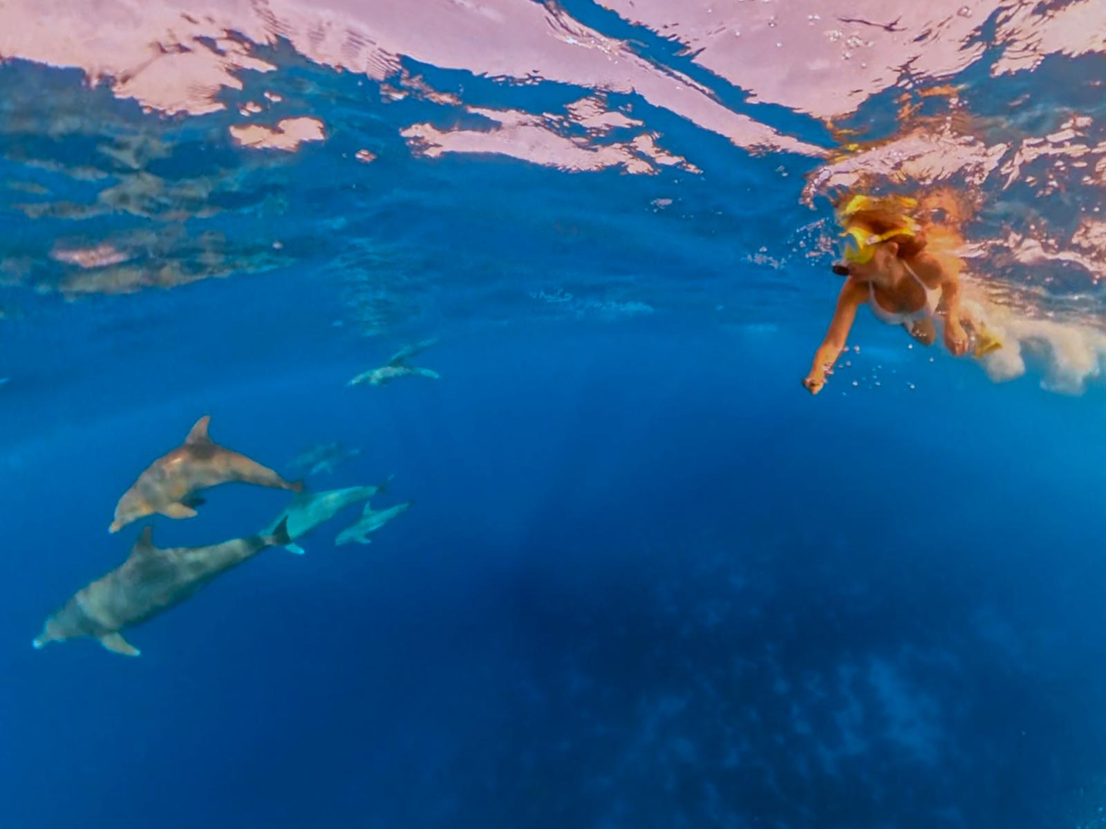 Bucear en el Mar Rojo