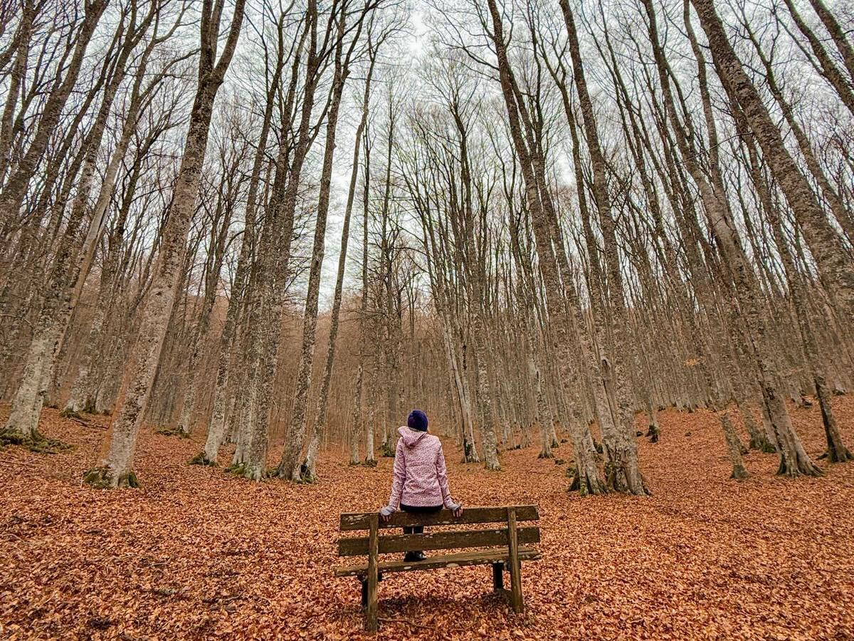 Qué ver en Sasso di Castania