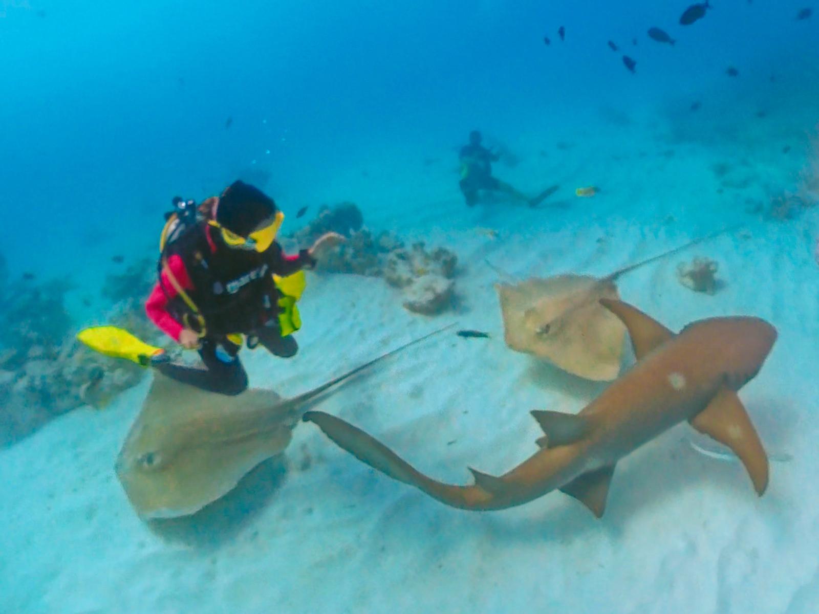Qué saber antes de viajar a Maldivas