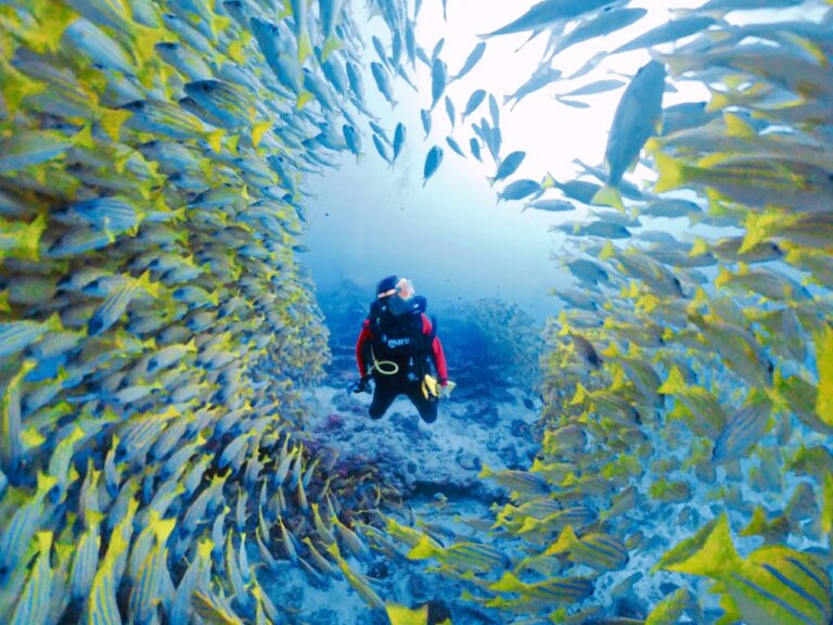 Maldivas en barco: mi primer vida a bordo